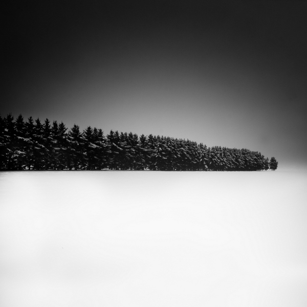 Photograph Uwe Langmann A Row Of Trees on One Eyeland
